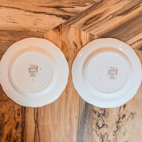 Pair of Vintage Dogwood VA Plates-American State Flowers-Ridgways Ltd of England - Picture 5 of 9